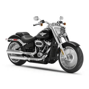 Harley Davidson Fat Boy 114 Bike