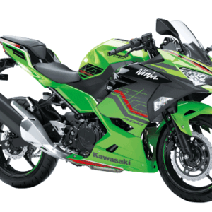 Kawasaki Ninja 300 Bike