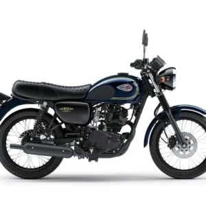 Kawasaki W175 Bike