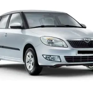 Skoda Fabia Car