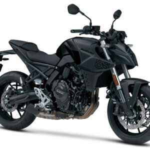 Suzuki GSX 8S Bike