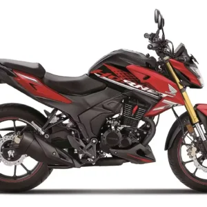 Honda Hornet 2.0 Bike