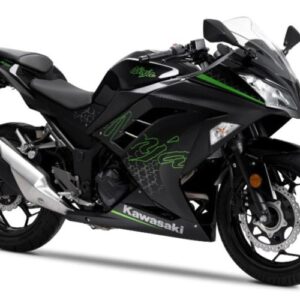 Kawasaki Ninja 300 Bike