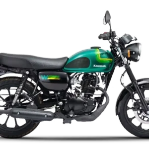Kawasaki W175 Bike