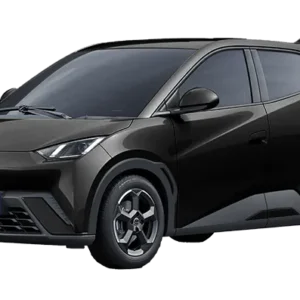 BYD Seagull Car