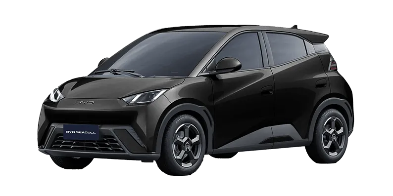 BYD Seagull Car logo for doorstep repair service and roadside assistance near me