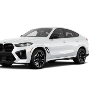 BMW X6 Car